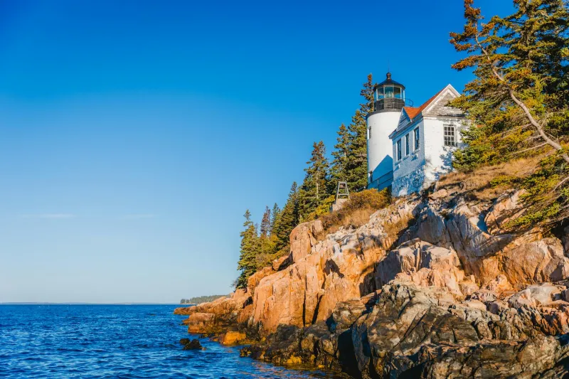 The Night Watchman Who Drew the Ocean's Hidden Secrets