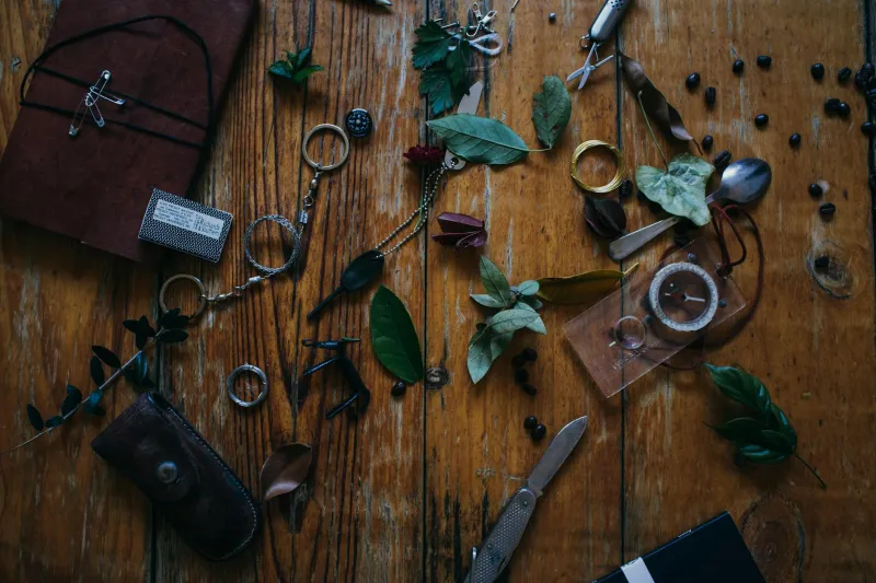 The Thing That Started Everything: Seven Objects That Launched Remarkable American Lives